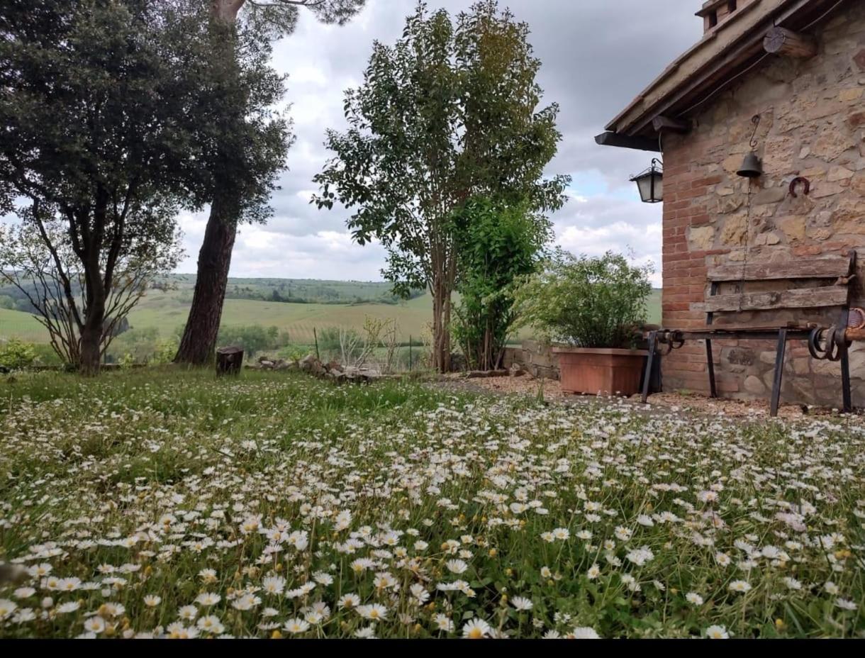 דירות סיינה Il Giardino Del Chianti מראה חיצוני תמונה