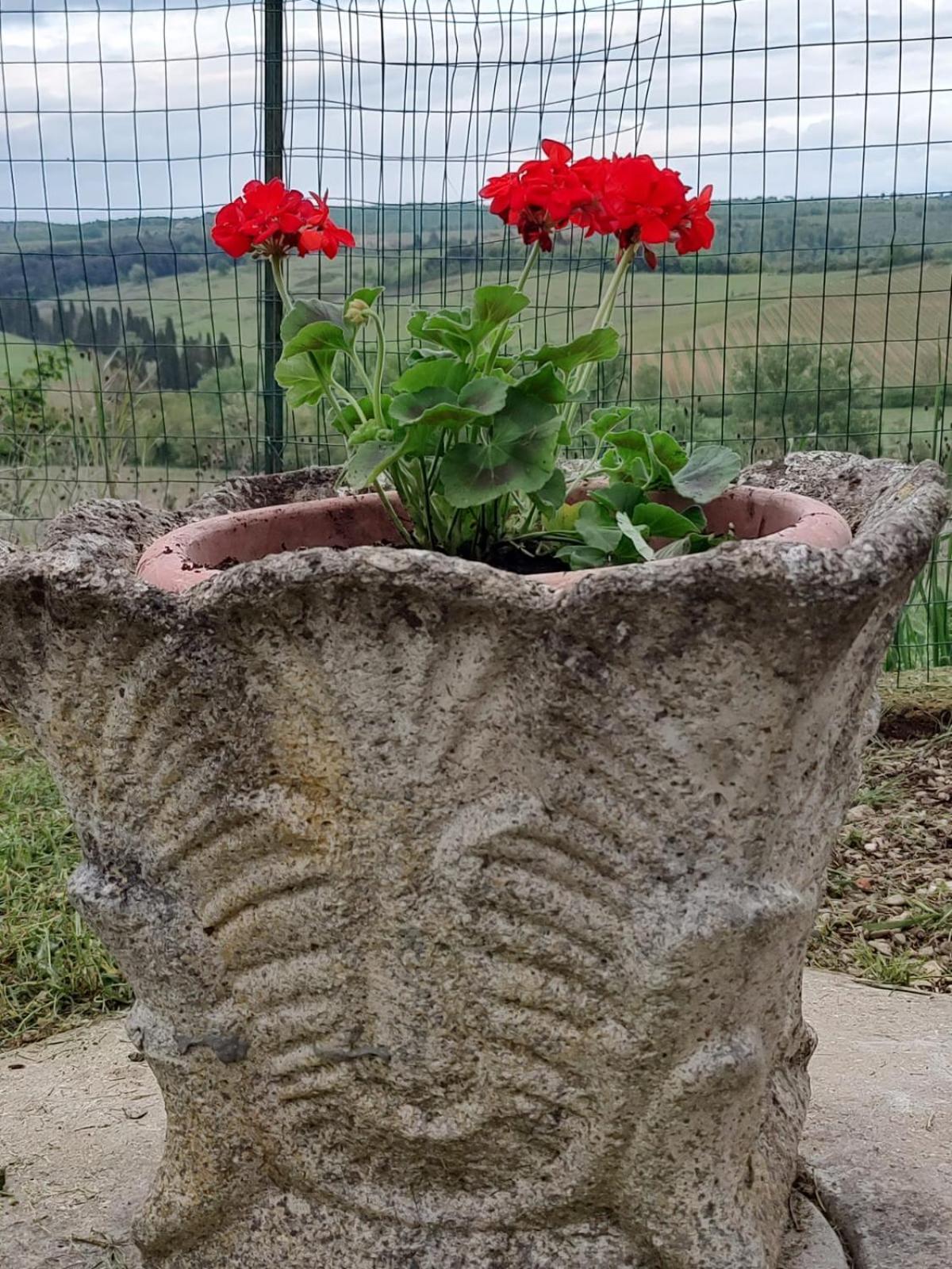 דירות סיינה Il Giardino Del Chianti מראה חיצוני תמונה