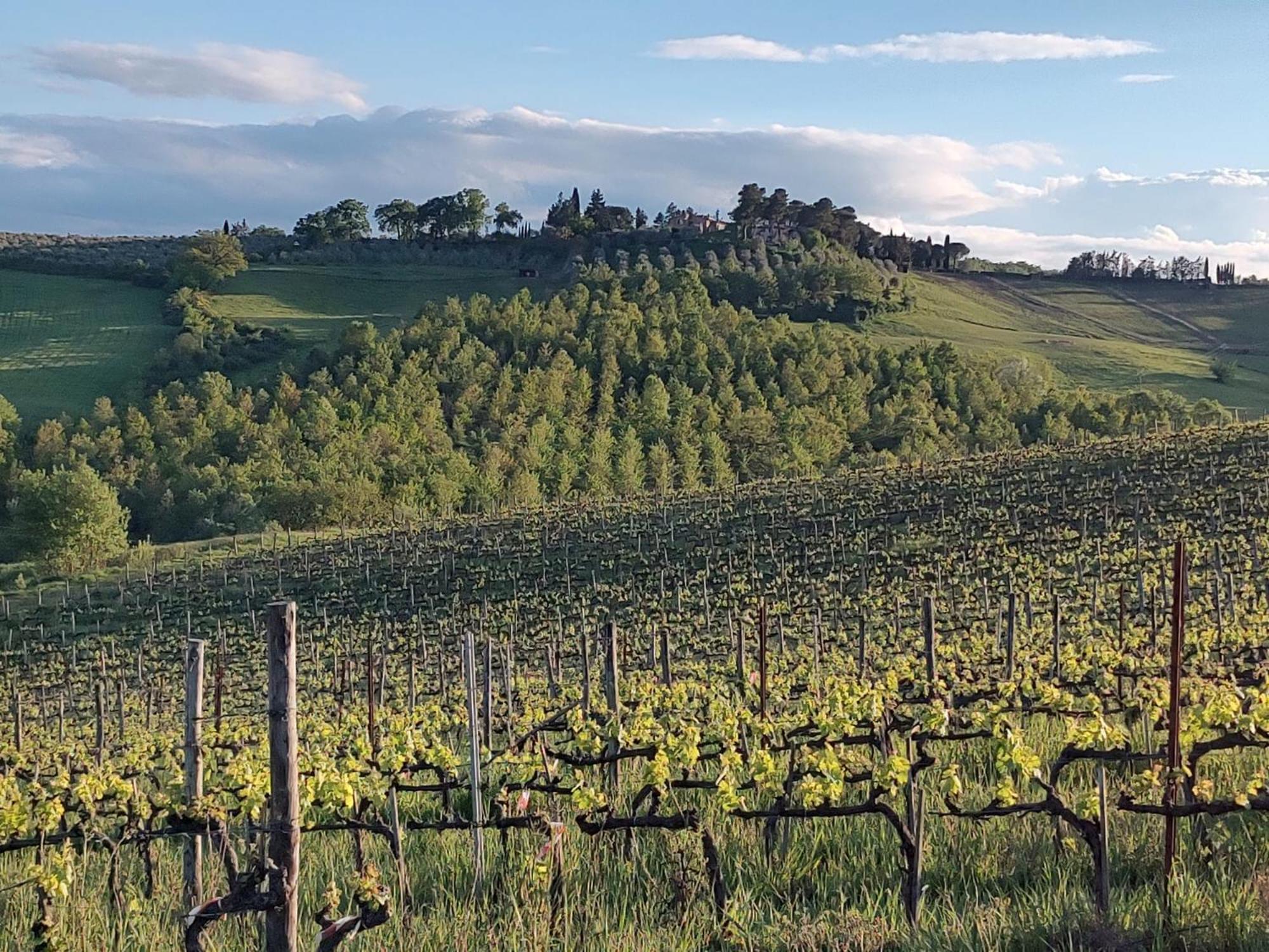 דירות סיינה Il Giardino Del Chianti מראה חיצוני תמונה