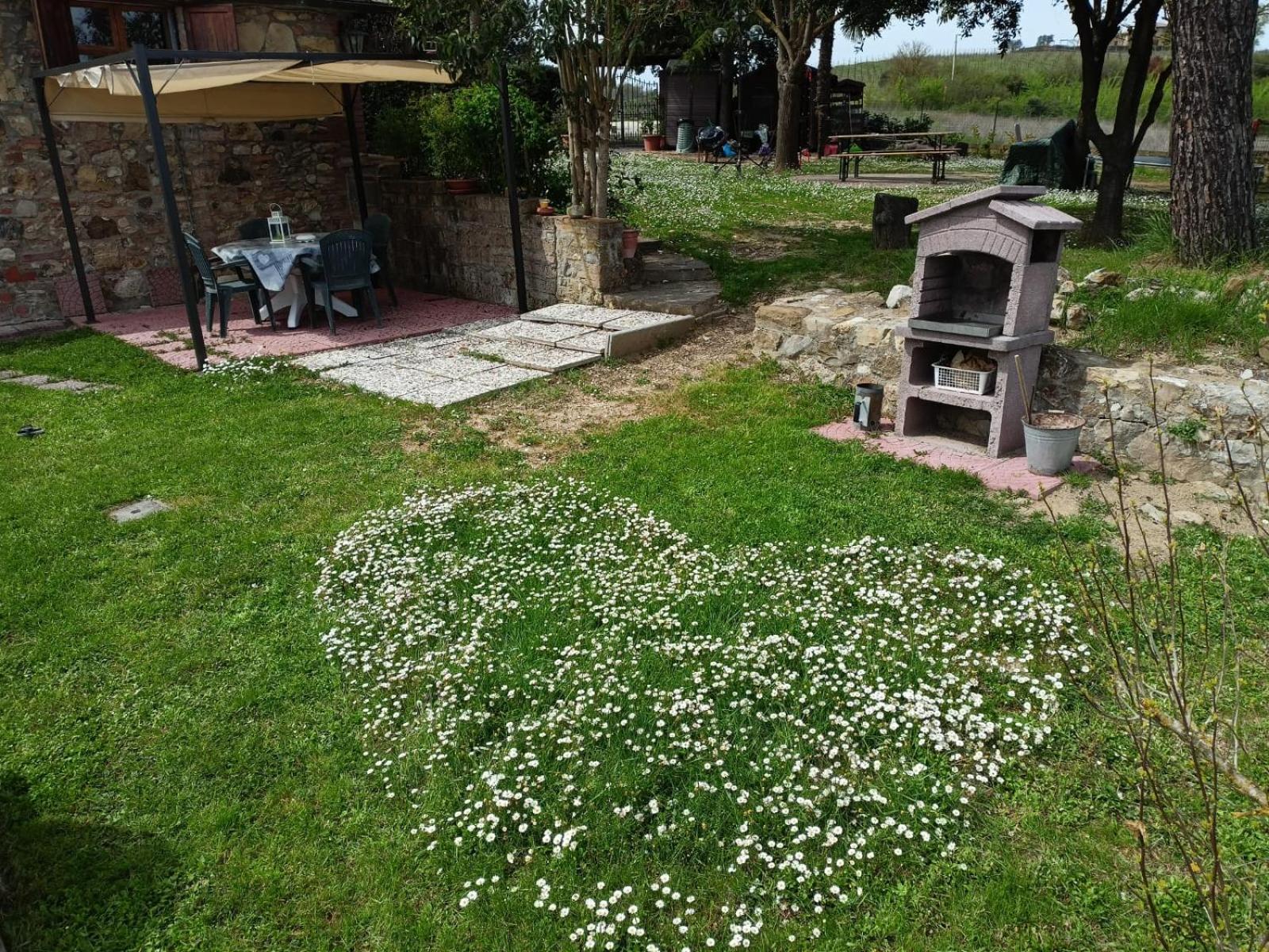 דירות סיינה Il Giardino Del Chianti מראה חיצוני תמונה